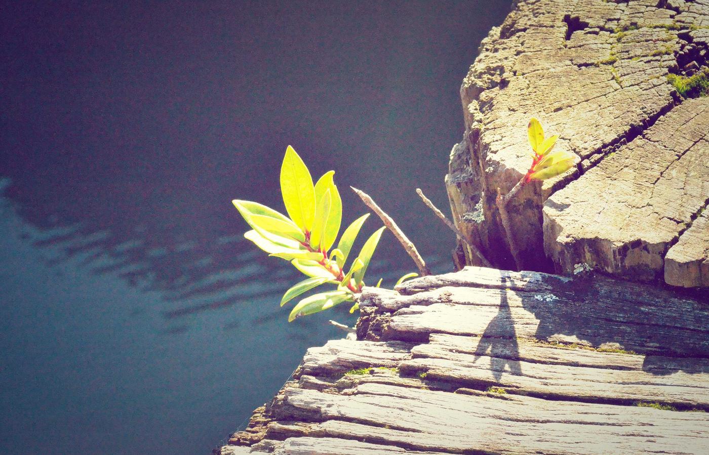 Landscape photography